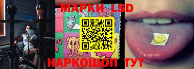 гашик Сланцы