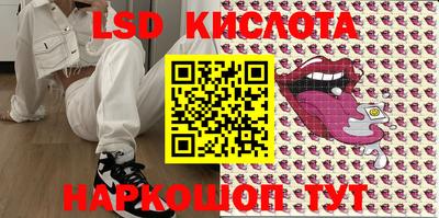 гашик Сланцы
