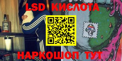 гашик Сланцы