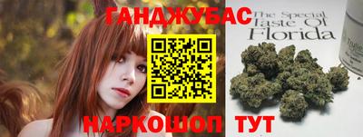 гашик Сланцы