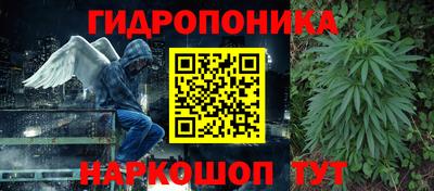 эйфоретик Славгород