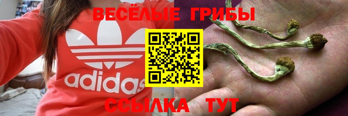 Новоуральск  Псилоцибиновые грибы ЛСД  Вход с VPN 